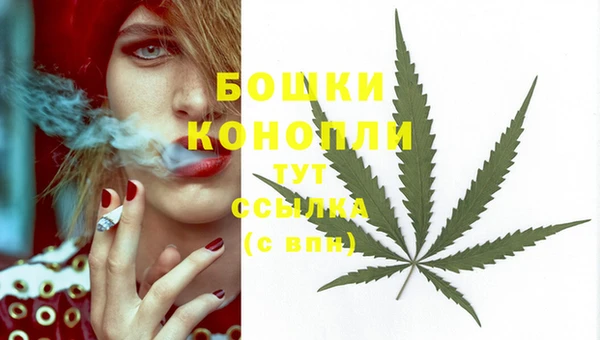 прущие крисы Куйбышев