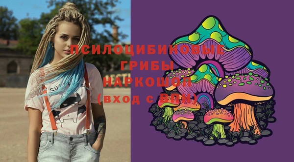 соль ск Краснослободск