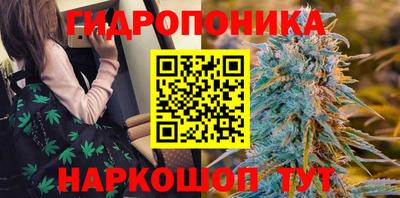 гидра Конаково