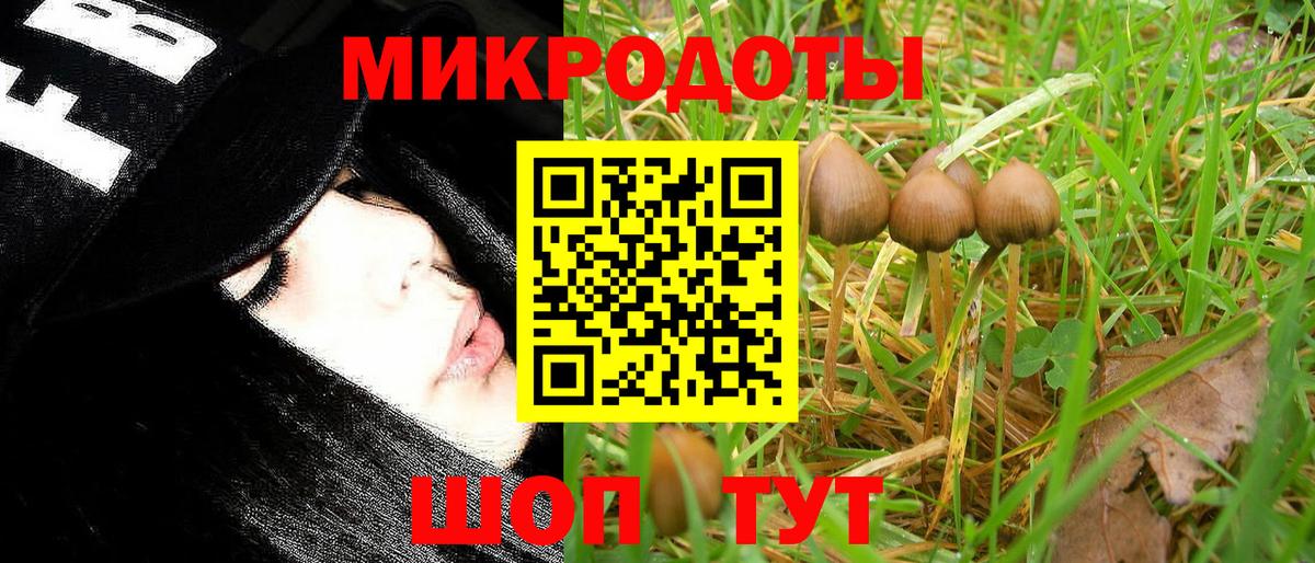 Галлюциногенные грибы MAGIC MUSHROOMS  Вход с VPN  Чайковский 